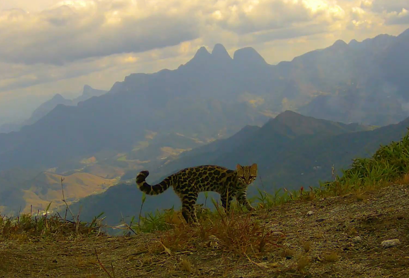 Captura de Tela 2024-09-10 às 05.09.38
