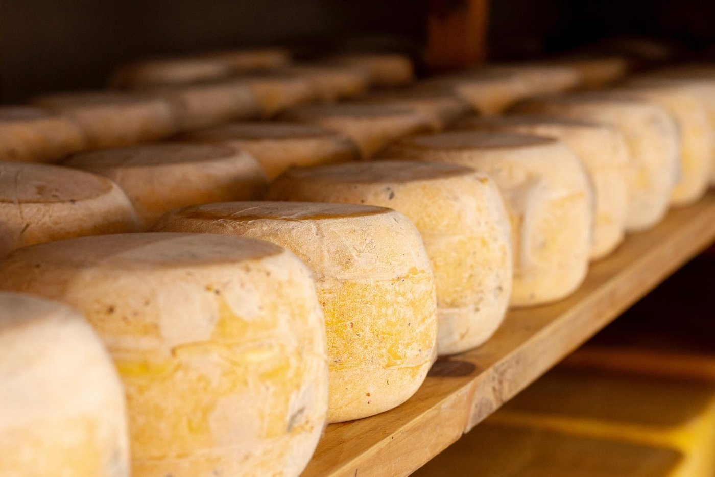 queijo1