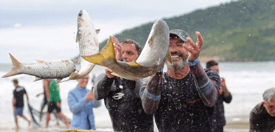 Projeto na Lagoa de Araruama visa reconhecimento de Indicação Geográfica para valorizar tainha local e beneficiar pescadores.