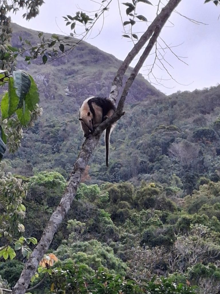 WhatsApp Image 2025-11-07 at 11.27.13