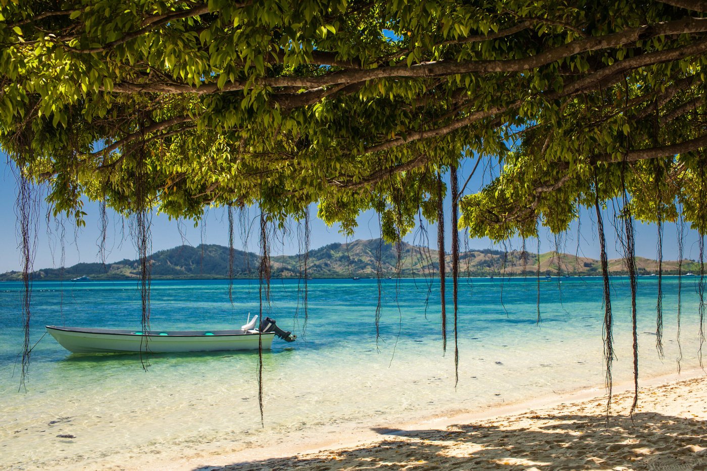 Boat and trees on a tropical beach in Fiji
