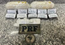 Polícia apreende mais de 11 kg de haxixe e 2 mil comprimidos de ecstasy, em Casimiro de Abreu