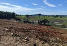 Inea fiscaliza desmatamento em área de preservação permanente em Araruama