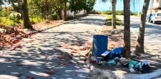 Lixo acumulado chama atenção em vídeo divulgado pelo prefeito de Casimiro de Abreu