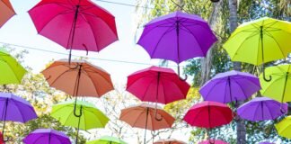 Expoflora: a festa das flores tradicional de Holambra